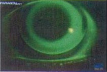podbor-linz-paragon-14_01